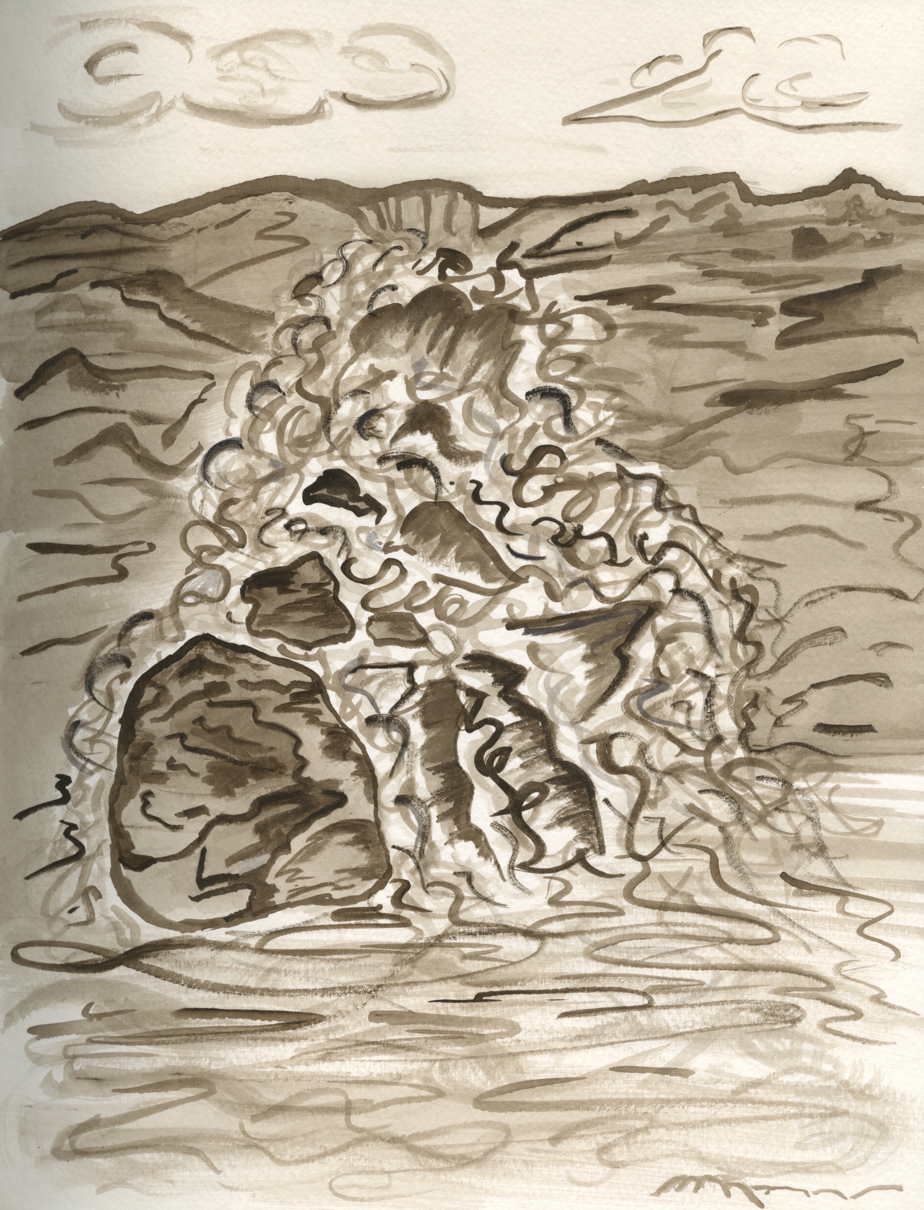 Octopus Ink Watercolors – Natalie Treadwell